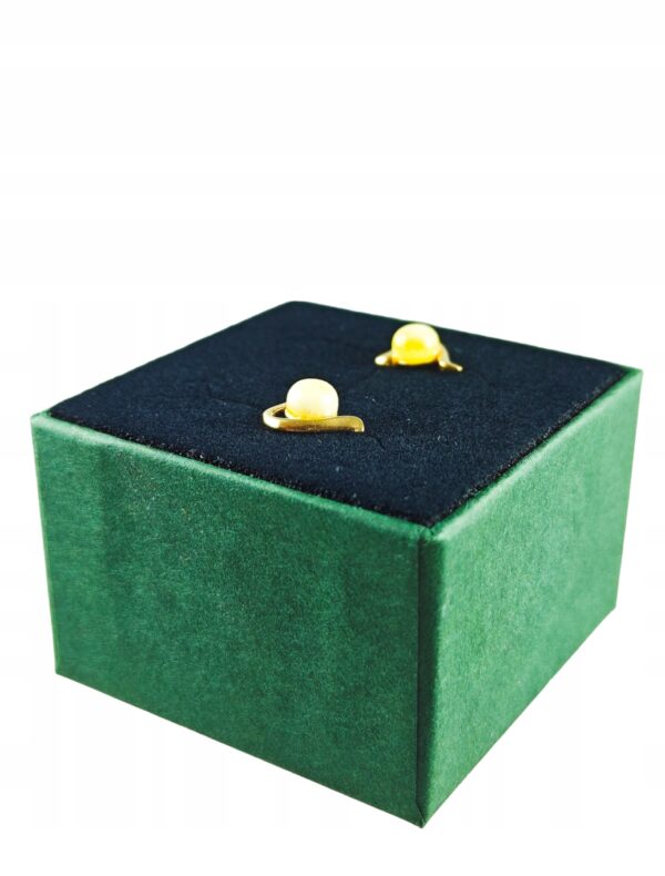 145dabc1348a4050520c362c1ffd0584.jpg Kolczyki srebrne pozłacane serduszka z bursztynem