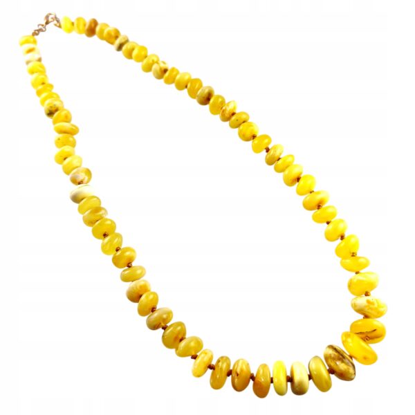 1d3e13584385c8dca38099dac6002ed4.jpg NASZYJNIK z CERTYFIKOWANYM BURSZTYNEM Ręcznie Wykonany ŚLICZNY PIĘKNY