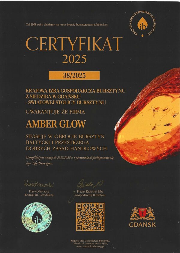 6c97c53bfae0bd51dab86f9811427eba.jpg WISIOREK SREBRNY z CERTYFIKOWANYM Bursztynem PIĘKNY NATURALNY Srebro 925