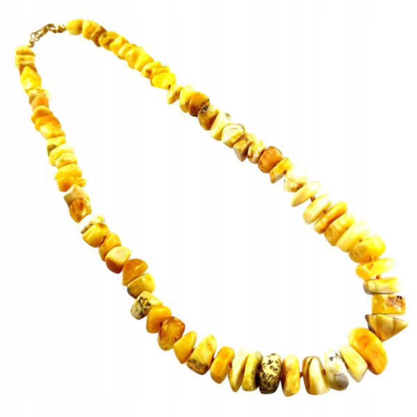 ae5902ebdbbbee3e7a2dfb6c915a6144.jpg NASZYJNIK z CERTYFIKOWANYM BURSZTYNEM Ręcznie Wykonany ŚLICZNY PIĘKNY