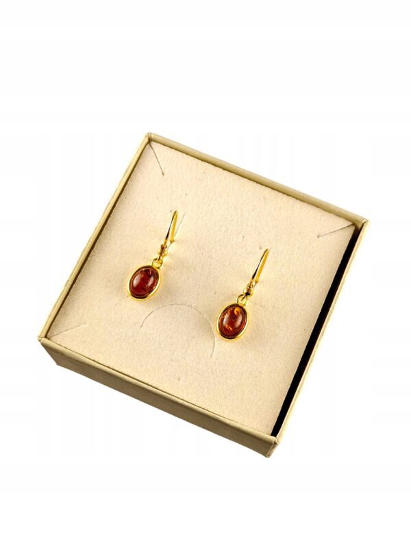 KOLCZYKI ZŁOTE z CERTYFIKOWANYM Bursztynem Bigiel Srebro POZŁACANE 925