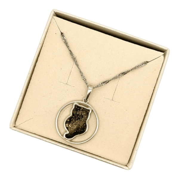 WISIOREK SREBRNY Z BURSZTYNEM KOT ZAWIESZKA DELIKATNY KOTEK Srebro 925